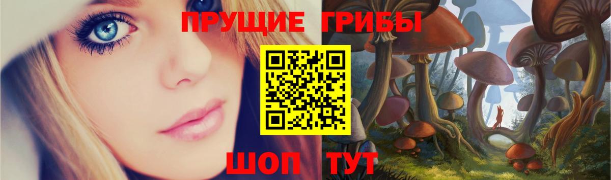 Миасс  Галлюциногенные грибы Psilocybine cubensis  Вход с VPN 